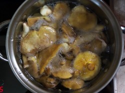 Маслята в банки на зиму