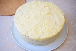 Торт медовик с заварным кремом классический