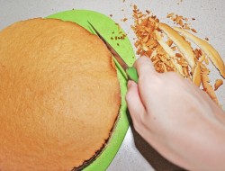 Медовые коржи для торта