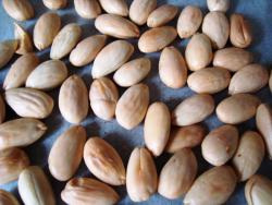 Бельгийский миндальный пирог с миндалем