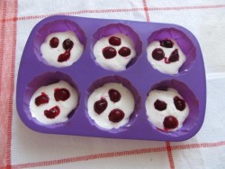 Молочный десерт с желатином, творогом и ягодами