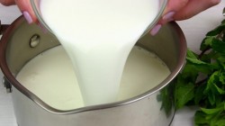 Мороженое с мятой и шоколадом