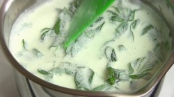 Мороженое с мятой и шоколадом