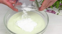 Мороженое с мятой и шоколадом