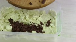 Мороженое с мятой и шоколадом