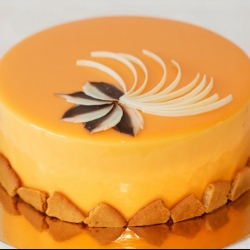 Муссовый торт с зеркальной глазурью Медовый