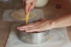 Муссовый торт с зеркальной глазурью с кокосом и ананасом