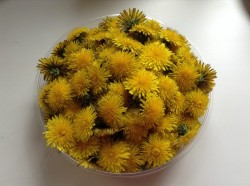 Варенье любви из одуванчиков