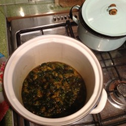 Варенье любви из одуванчиков