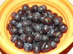 Наливка сливовая домашняя - шаг 2 Наливка сливовая домашняя - шаг 2