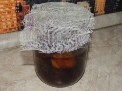 Наливка сливовая домашняя - шаг 4 Наливка сливовая домашняя - шаг 4