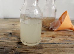 Настойка чеснока на спирту