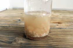 Настойка чеснока на спирту