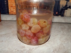 название картинки Настойка из винограда на водке в домашних условиях