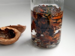 название картинки Настойка перегородки грецких орехов на водке