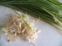 Необычный салат с маринованным виноградом и зеленым луком