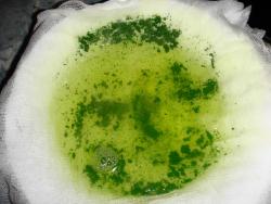 рулет со сливочным сыром