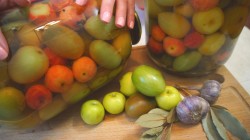 название картинки Очень вкусные маринованные зеленые помидоры с ранеткой