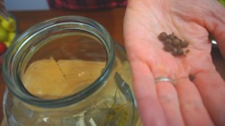 название картинки Очень вкусные маринованные зеленые помидоры с ранеткой