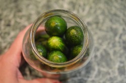 Соленые огурцы как бочковые с горчицей в банках на зиму