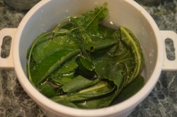 Соленые огурцы как бочковые с горчицей в банках на зиму