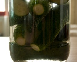 название картинки Огурцы с томатной пастой и уксусом на зиму