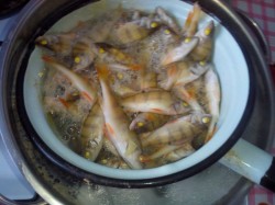 Суп из окуня речного с картошкой