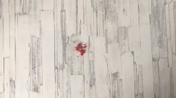 название картинки Омлет с творогом