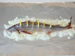 Осетр в духовке целиком