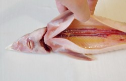 Осетр в духовке целиком