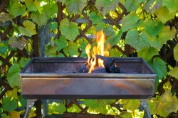 Овощи гриль на мангале