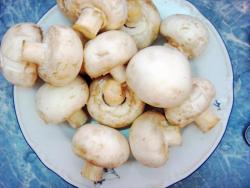 Овощное рагу кабачки с капустой и шампиньонами