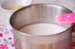 Панна-котта со сгущенным молоком и клубничным конфитюром