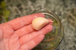 название картинки Патиссоны без стерилизации на зиму