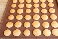 Двойное печенье с начинкой в шоколаде