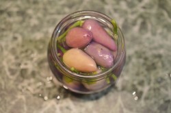 название картинки Перец горький маринованный на зиму без стерилизации