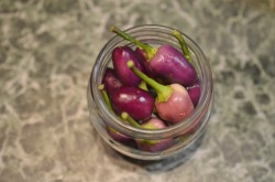 название картинки Перец горький маринованный на зиму без стерилизации