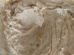 название картинки Песочное печенье шоколадно-ванильное