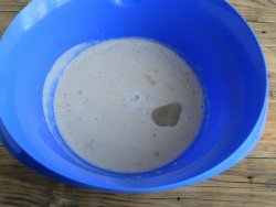 название картинки Пицца на бездрожжевом тесте