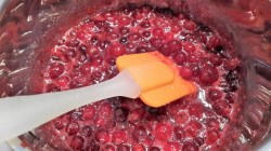 Поджаренные ломтики чиабатты с мягким сыром и томленой клюквой и 15 похожих рецептов: фото, калорийность, отзывы