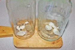 название картинки Помидоры в желе с желатином на зиму с луком со стерилизацией