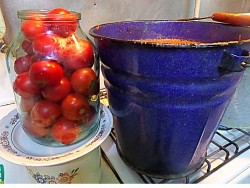 Помидоры в собственном соку пальчики оближешь на зиму - шаг 9 Помидоры в собственном соку пальчики оближешь на зиму - шаг 9