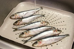Посолить иваси в домашних условиях - шаг 2 Посолить иваси в домашних условиях - шаг 2