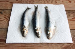 Посолить иваси в домашних условиях - шаг 3 Посолить иваси в домашних условиях - шаг 3