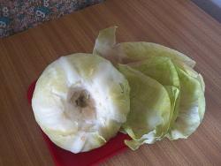 название картинки Постная долма (Пасуц толма)