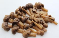 Салат с мясом, грибами и сыром