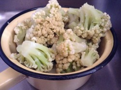 Пюре на молоке с сыром из цветной капусты