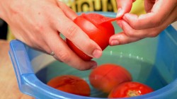 Рыбный рататуй с минтаем и овощами запеченный в духовке