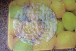 Блины из рисовой бумаги с шампиньонами