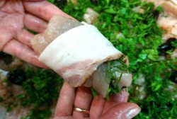 Рулеты из куриного филе с зеленью и черносливом